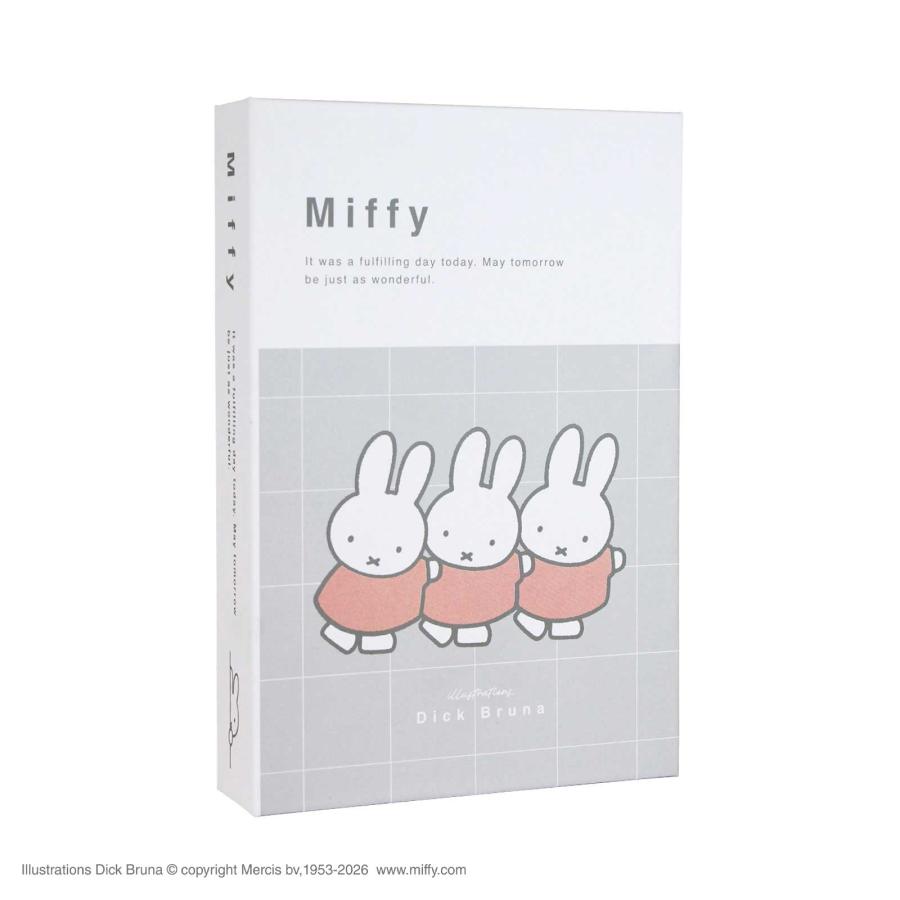11月下旬入荷 予約 ミッフィー グッズ 収納ボックス ティーズ