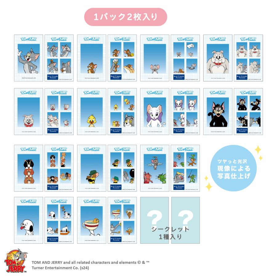 コンプリートBOX>トムとジェリー 証明写真風スマロイド ティーズ コンプリートBOX>トムとジェリー 証明写真風スマロイド ティーズ