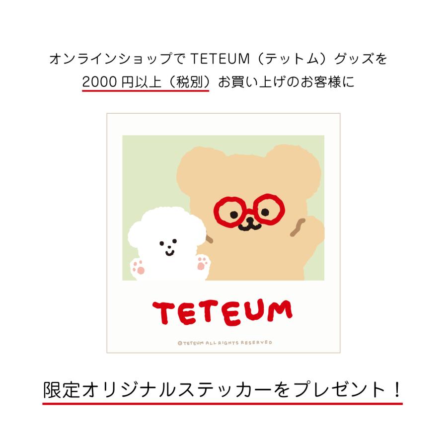 ティーズファクトリー テットム TETEUM クッション もっちり フェイス