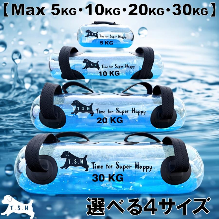 T.S.H】 ウォータートレーニングバッグ 【20kg】 専用フットポンプ