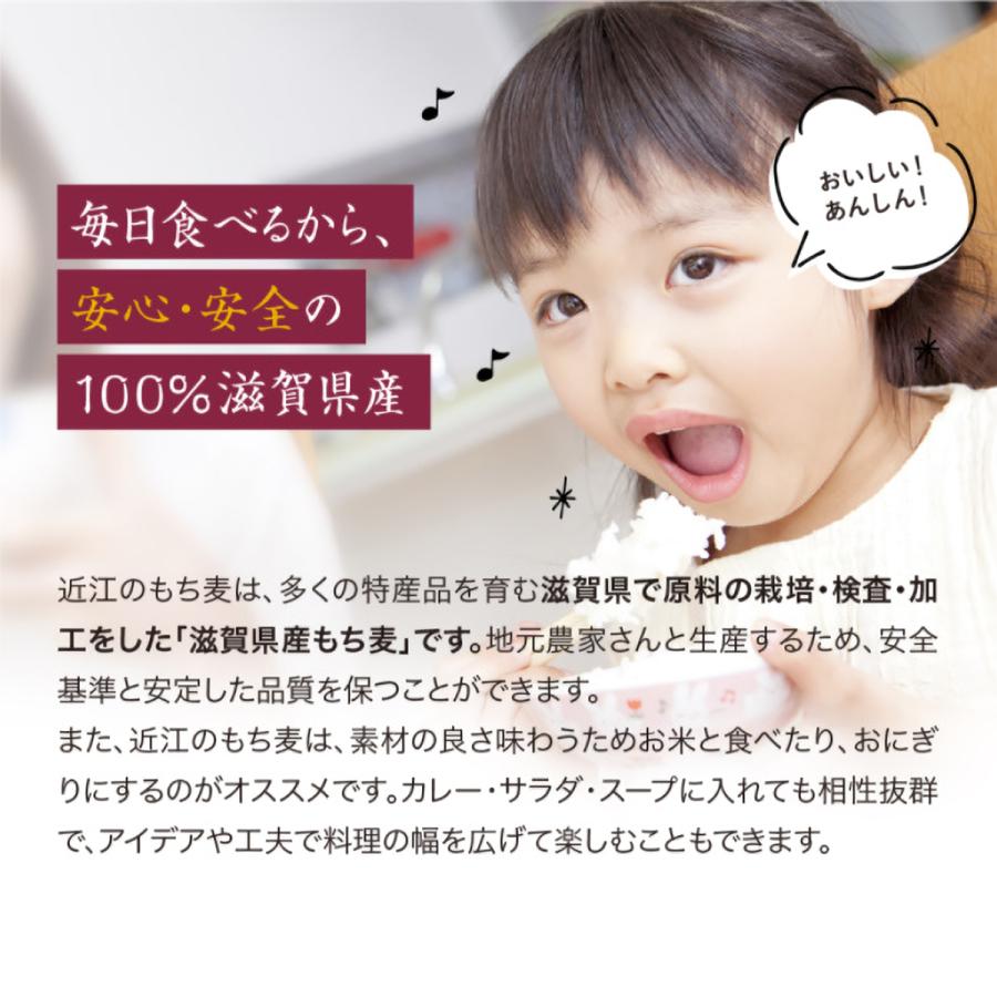 国産 もち麦 滋賀県産 近江のもち麦 450ｇ |  | 02