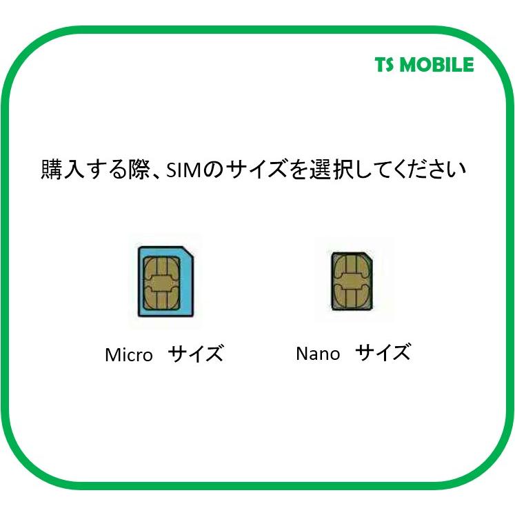 プリペイドsimドコモ 格安SIM 日本国内 高速データ容量110M/日12ヶ月 
