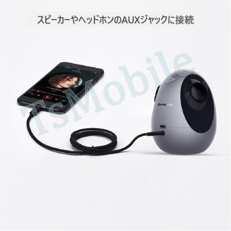 iPhone ライトニング3.5mmAUX変換ケーブル lightning車載用オーディオ