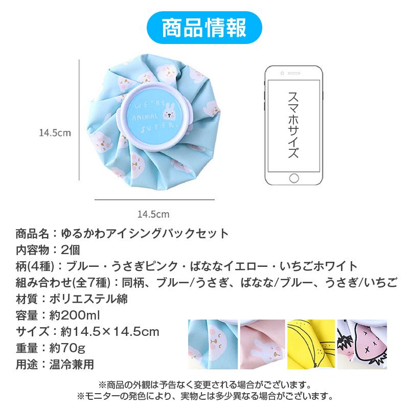 氷のう 2個 氷嚢 アイスパック 熱中症対策 子供 ミニ 軽量 温冷兼用