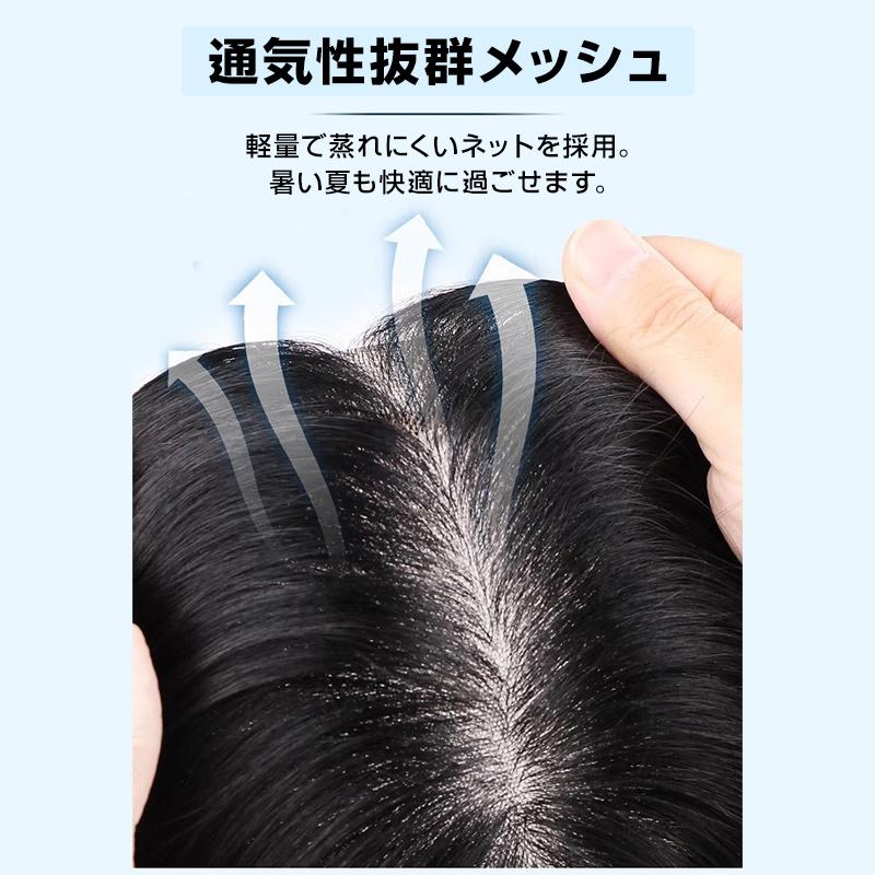 ウィッグ メンズ 男性 ヘアピース 人毛100％ 頭頂部 部分ウィッグ