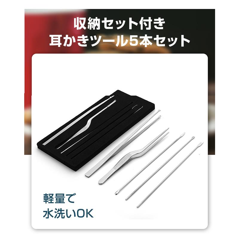 耳かき ツール 5本セット ピンセット 耳垢 掃除 除去 ステンレス