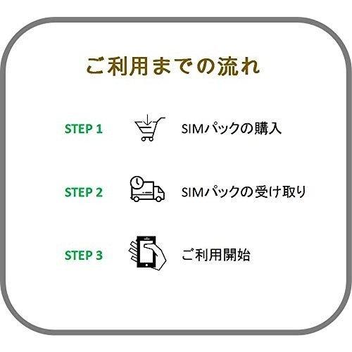 プリペイド SIM 格安 データ100G/月 1年間プラン 高速データ100GB 中速無制限 国内使用 契約不要 解約不要 手続き不要 データ通信SIM 4G |  | 01