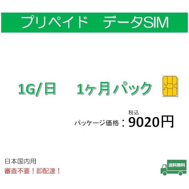 プリペイドsim データ通信 日本国内 ドコモ 格安SIM 高速データ容量1G/日1ヶ月プラン Docomo  1ヶ月パック)レンタル 返却不要 | 