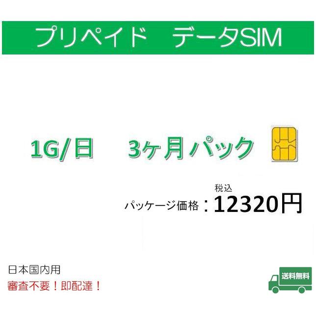 プリペイドsim 日本国内 ドコモ 格安SIM 高速データ容量1G/日3ヶ月 