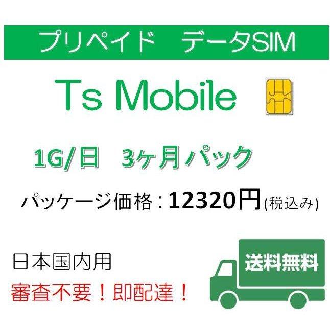 プリペイドsim 日本国内 ドコモ 格安SIM 高速データ容量1G/日3ヶ月 