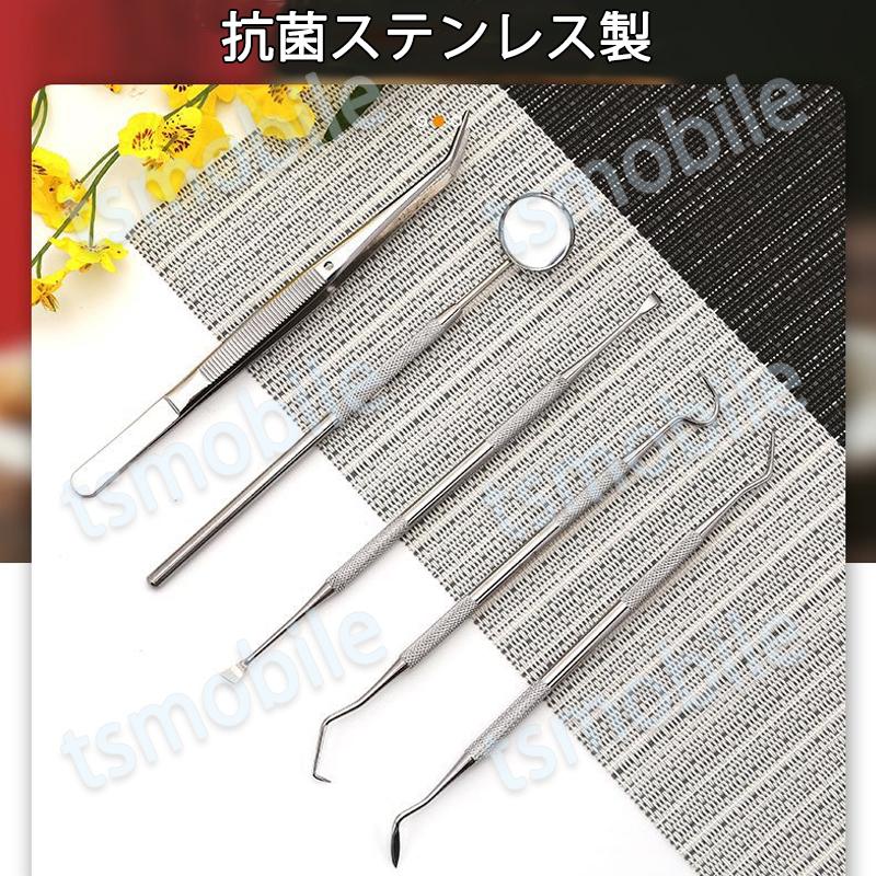 歯石取り 5本セット ケース付き スケーラー 歯垢 食べかす 除去 用具 デンタル オーラル ケア  口腔 衛生 ツール 自宅 歯の点検 器具ヤニとり ステンレス製 |  | 03