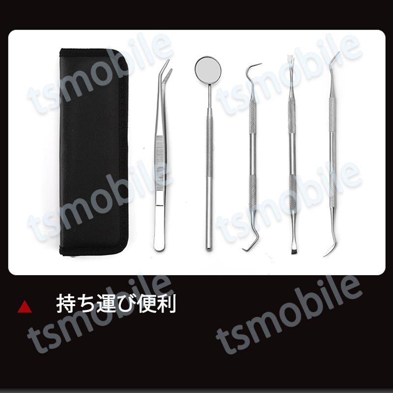 歯石取り 5本セット ケース付き スケーラー 歯垢 食べかす 除去 用具 デンタル オーラル ケア  口腔 衛生 ツール 自宅 歯の点検 器具ヤニとり ステンレス製 |  | 09