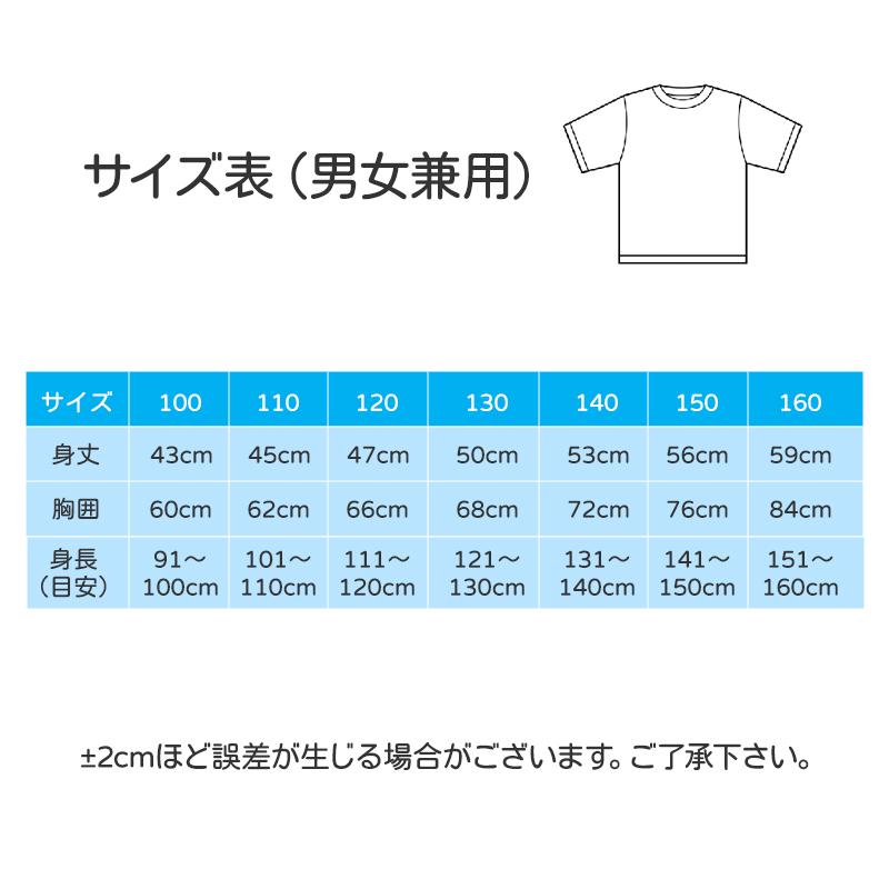 Tシャツ 2枚セット 薄手 白Tシャツ 無地 半袖 キッズ ホワイト 体育服