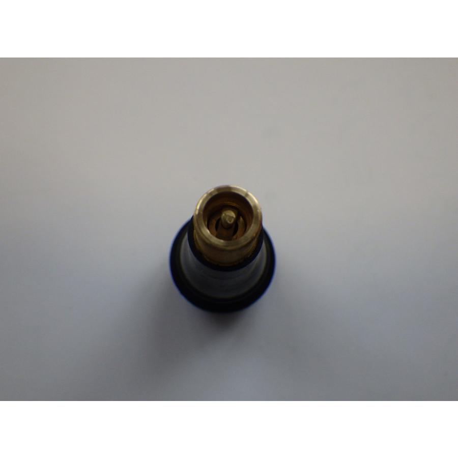 PACIFIC 太平洋工業 MADE IN JAPAN TR413CL チューブレスバルブ