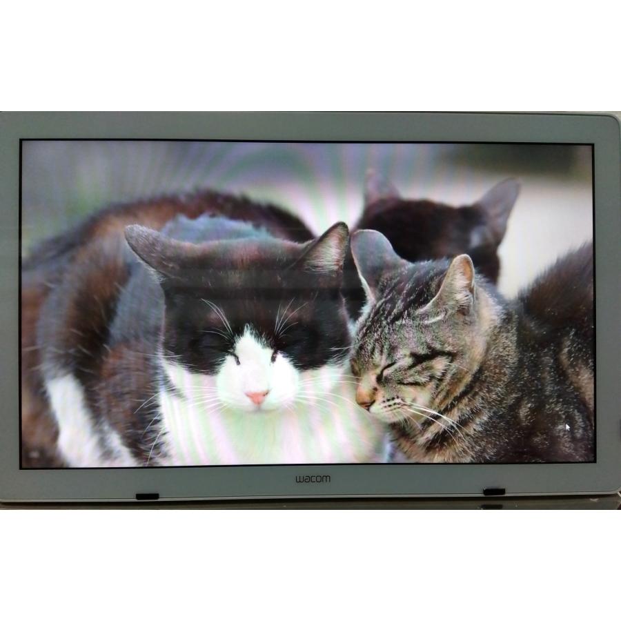 ワコム 液晶タブレット DTK-2451 Interactive Pen Display 24-inch DTK-2451