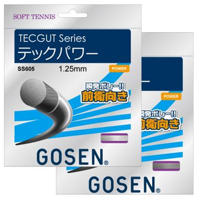 GOSEN（ゴーセン） 【前衛】 テックパワー (TECPOWER) SS605 軟式