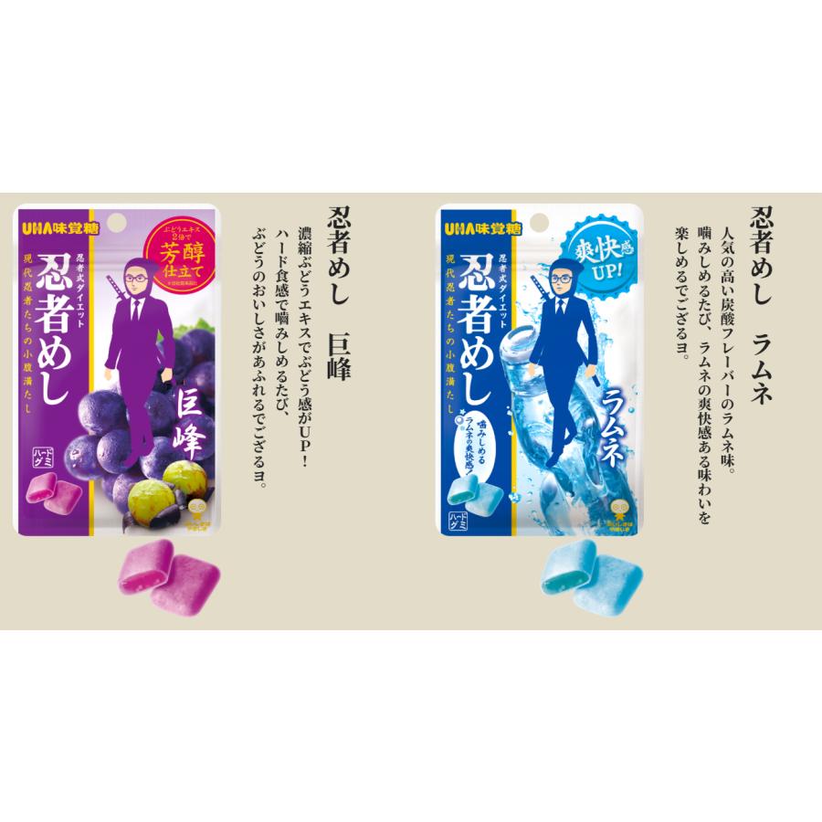 UHA味覚糖 忍者めし 巨峰 ラムネ 2種各5袋 アソート 食べ比べ 業務用