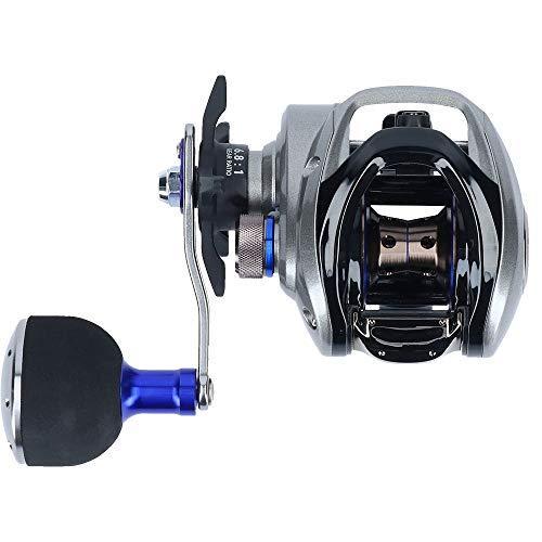 ダイワ(DAIWA) フネ XT 150HL 両軸リール 150HL mm