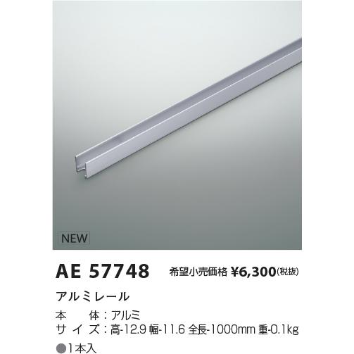 AE57748 間接照明Flexed Seamless Dual用 アルミレール コイズミ照明 施設照明部材 | KOIZUMI | 01