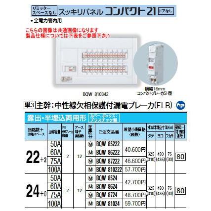 Panasonic 住宅分電盤 スッキリパネル コンパクト21 リミッター 