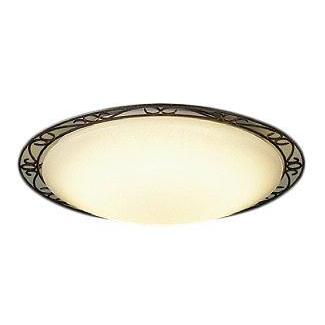 Dcl y Led小型シーリングライト Led交換不可 要電気工事 電球色 非調光 明るさfhc28w相当 大光電機 照明器具 内玄関 廊下用 天井照明 タカラshop Paypayモール店 通販 Paypayモール