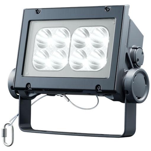岩崎電気 ECF6041N/NSAN8/DG LED投光器 レディオック フラッド ネオ 60