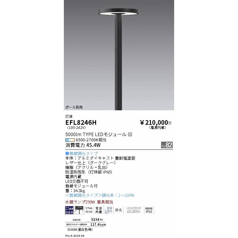 遠藤照明 EFL8246H アウトドアライト LEDZ Pole Light ポール灯 灯具