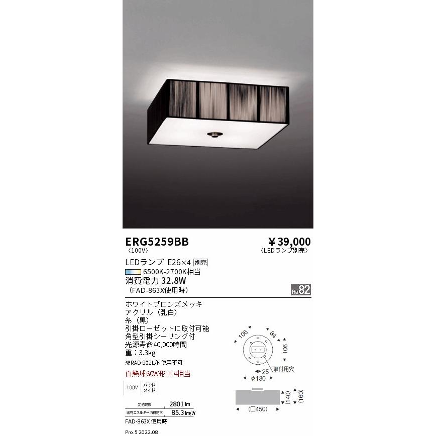 遠藤照明 ERG5259BB LEDシーリングライト 本体のみ ランプ別売(E26