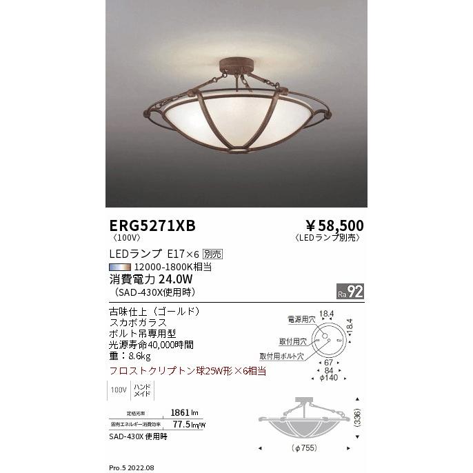 遠藤照明 ERG5271XB LEDシーリングライト 本体のみ ランプ別売(E17