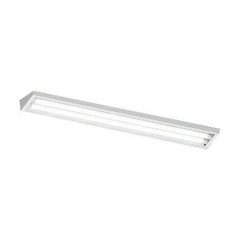 ERK9171W 直管形LEDウォールウォッシャーライト TUBEシリーズ 電源内蔵 Tunable LEDZ 無線調光 調色 110Wタイプ 本体のみ 直付 2灯用 遠藤照明 施設照明