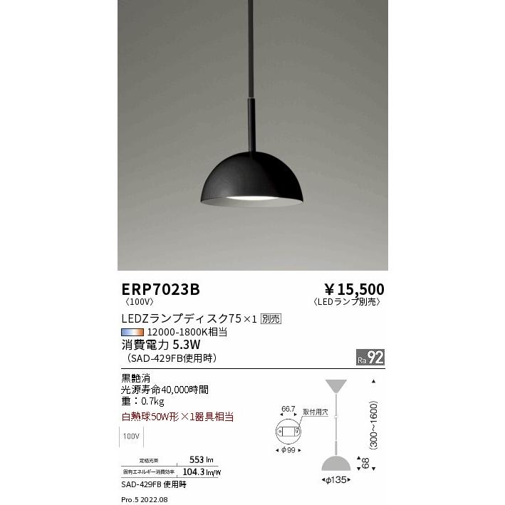 遠藤照明 ERP7023B LEDZ LAMP ペンダントライト 本体のみ ランプ別売