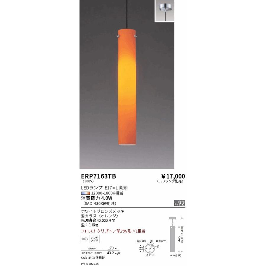 遠藤照明 ERP7163TB LEDZ LAMP ペンダントライト 本体のみ ランプ別売