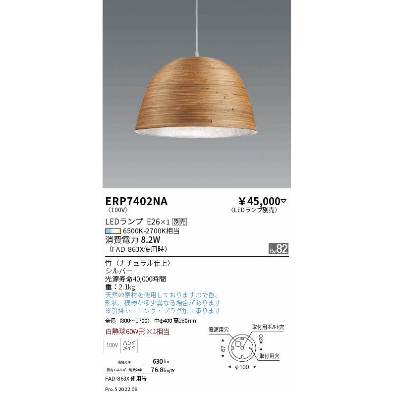 遠藤照明 ERP7402NA LEDZ LAMP ペンダントライト 本体のみ ランプ別売