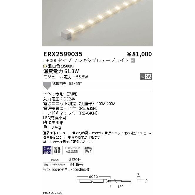 公式初売 ERX2599035 間接照明 LEDZ Flexible Light パワーフレキシブルライト(屋内外兼用) L6000タイプ 電源内蔵 65°×65° 拡散配光 温白色 無線調光対応 遠藤照明