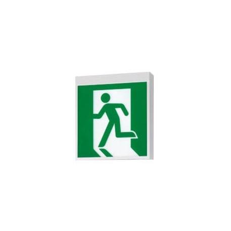 Panasonic（パナソニック） FA40316C LE1 LED誘導灯 天井直付型・壁直