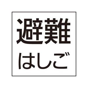 FK20390 標示灯用パネル 「避難はしご」 Panasonic パナソニック 防災照明 施設・店舗照明｜tss