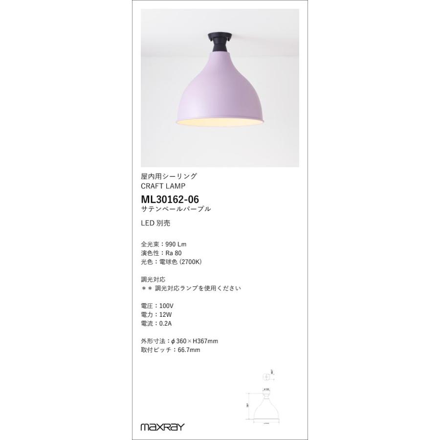 ML30162-06 装飾照明 Eggplant L/CRAFT LAMP LEDシーリングライト 本体