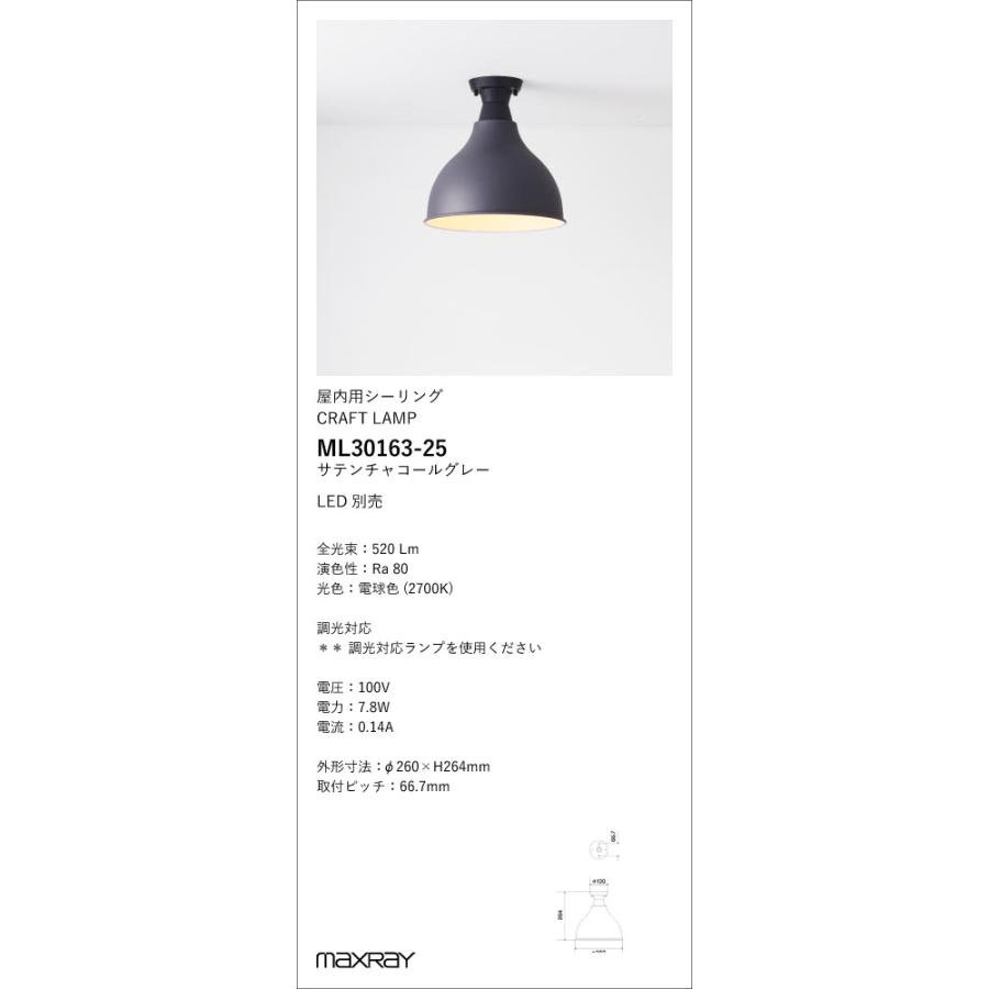 ML30163-25 装飾照明 Eggplant S/CRAFT LAMP LEDシーリングライト 本体 要電気工事 マックスレイ 照明器具の画像