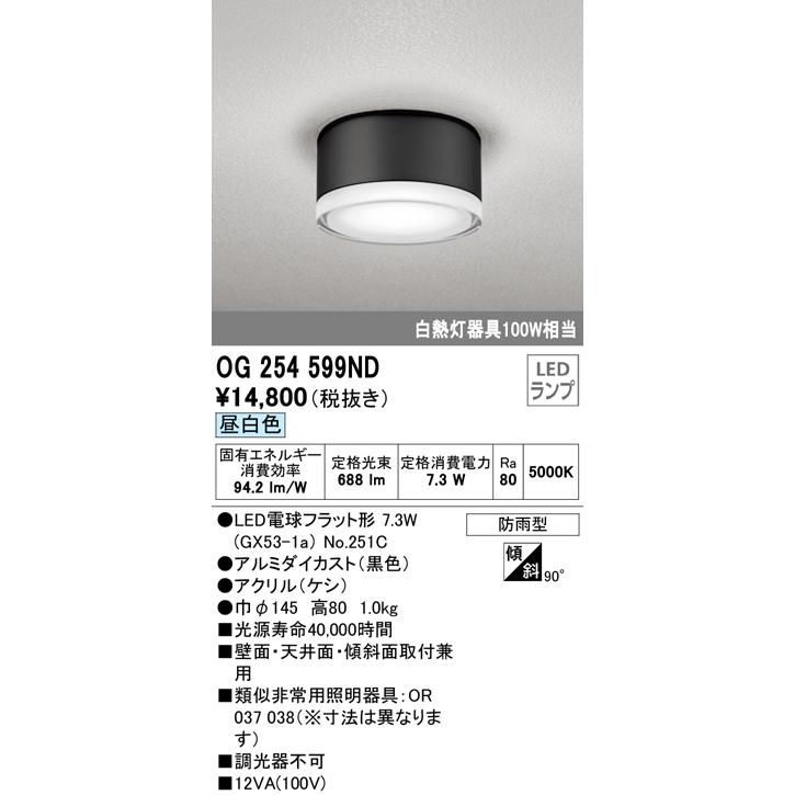 OG254599ND エクステリア 軒下用LEDシーリングダウンライト 白熱灯器具100W相当 昼白色 非調光 防雨型 オーデリック 照明器具 屋外用 壁面・天井面取付兼用｜tss｜02