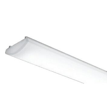 RAD-836W LEDベースライト用 LEDZ SDシリーズ 防水型メンテナンスユニット 電源内蔵 40Wタイプ 一般タイプ 非調光 ナチュラルホワイト 遠藤照明 施設照明部材