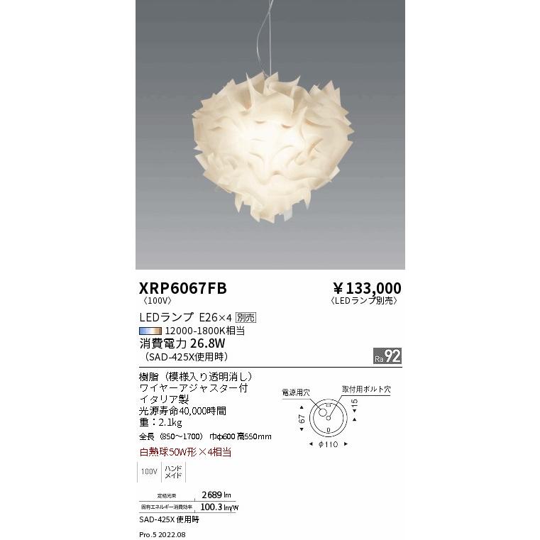 遠藤照明 XRP6067FB SLAMP LEDペンダントライト AbitaExcel 本体のみ