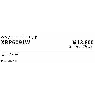 遠藤照明 XRP6091W LEDZ LAMP ペンダントライト AbitaExcel 本体のみ