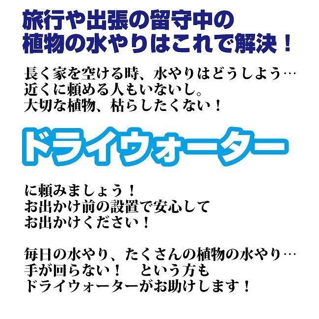 ドライウォーター10個セット  水やり 置くだけ 便利｜tsthird｜02