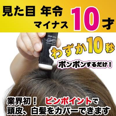白髪ぼかし ヘアレーベル ポイントスティック 頭皮用ファンデーション 携帯 ミニサイズ メンズ レディース 美容できれい 通販 Yahoo ショッピング