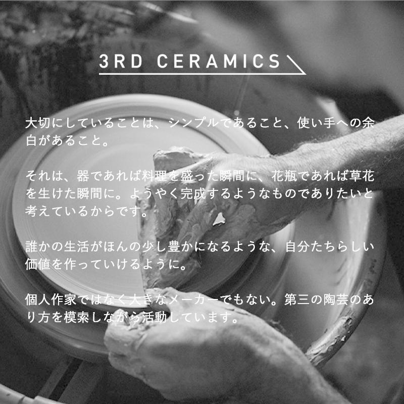 大皿 30cm以上 おしゃれ 皿 お皿 長皿 和食器 楕円皿 M 美濃焼 日本製