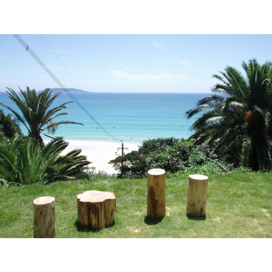 TSUBAKI DRESS(椿ゆずドレッシング) |  | 02