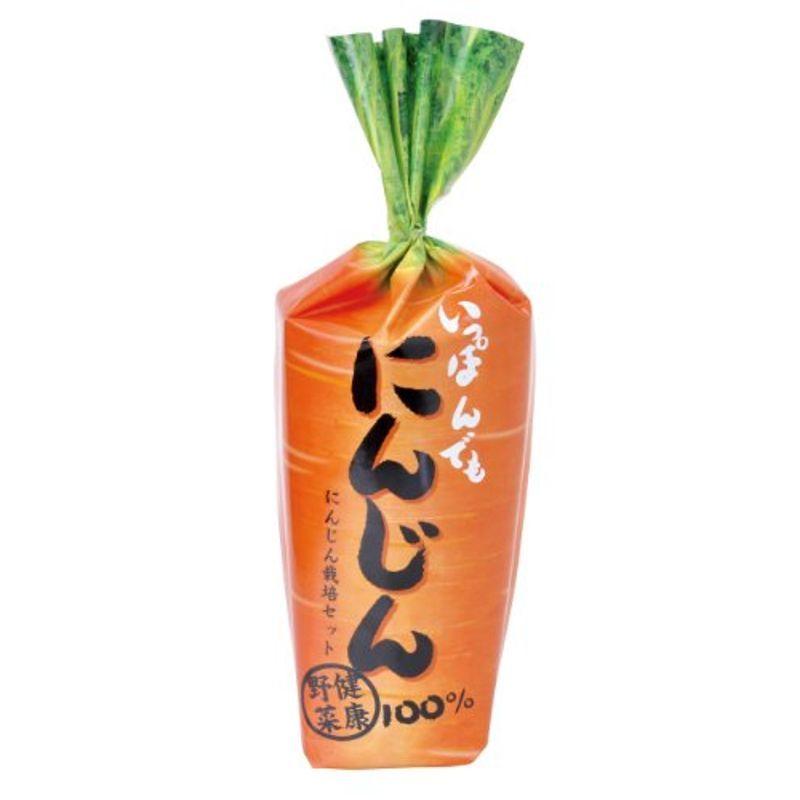 聖新陶芸 一本でもにんじん Gd 392 電気ポット 返品 交換対象商品 Kec Landasanulin Banjarbarukota Go Id