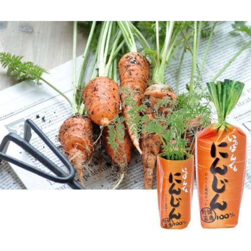 聖新陶芸 一本でもにんじん Gd 392 電気ポット 返品 交換対象商品 Kec Landasanulin Banjarbarukota Go Id