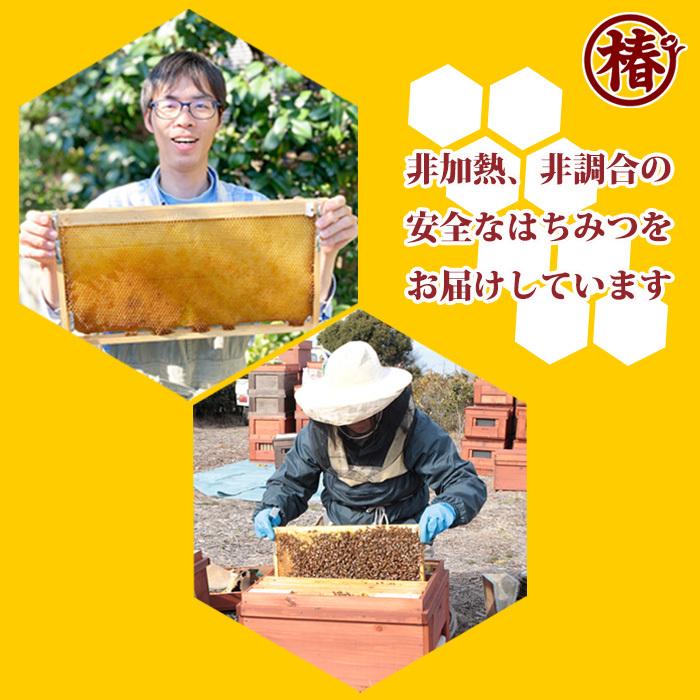 百花はちみつ 内容量500g【国産 送料無料 ハチミツ 蜂蜜 ひゃっか 日本