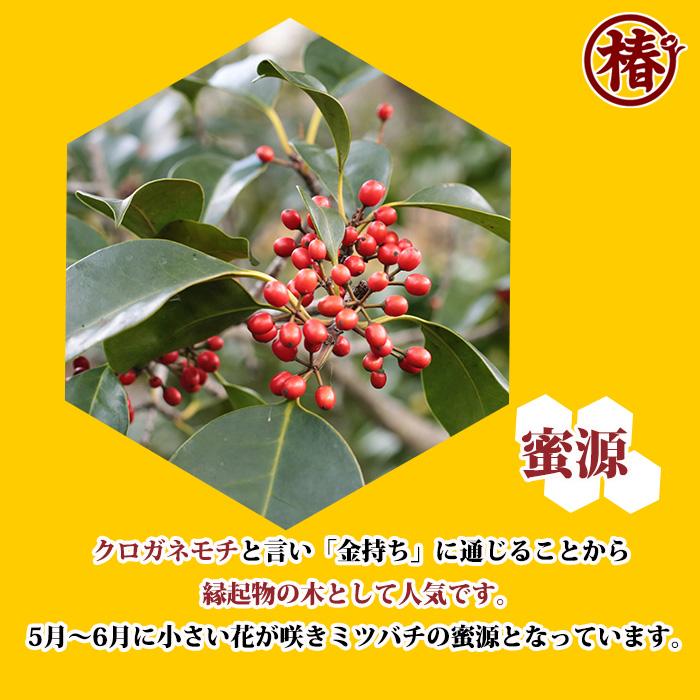 百花はちみつ・もちの木はちみつ 食べくらべ大容量の2本セット！ 内容量500g×各1本【国産 送料無料 非加熱 無添加 純粋 ハチミツ 蜂蜜 日本産】｜tsubakien｜06